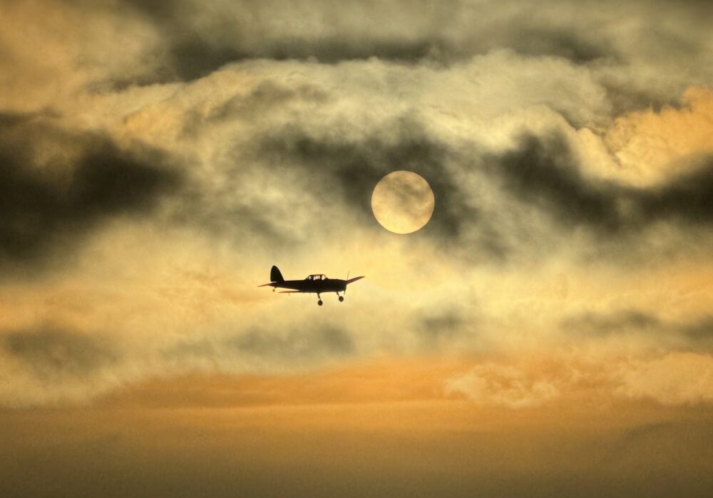 Flying with moonlight