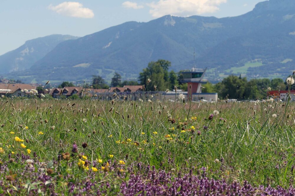 Annecy Airport is one of the airfields working on its biodiversity