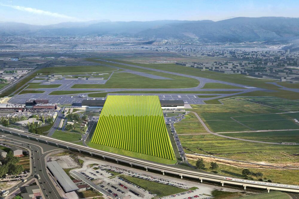 A new type of green roof - a vineyard - for the new terminal at Florence Airport