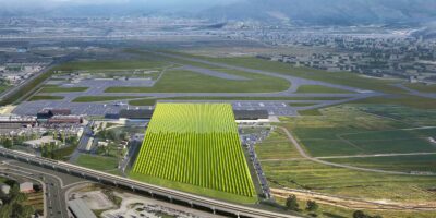 A new type of green roof - a vineyard - for the new terminal at Florence Airport