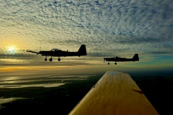 Early evening three-ship.