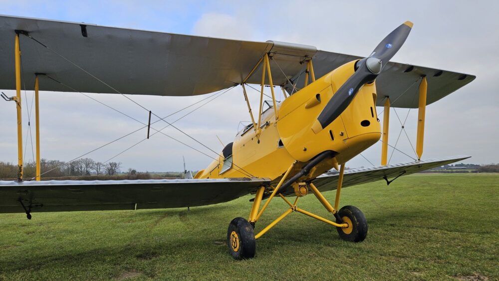 Yellow Tiger Moth parked on grass.