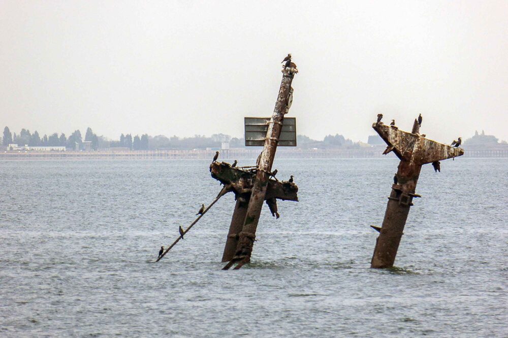 Wreck of the SS Richard Montgomery, off Sheerness by Christine Matthews