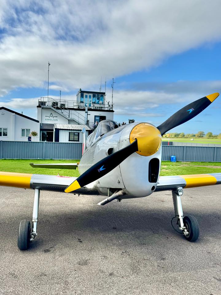 Chipmunk at Halfpenny Green