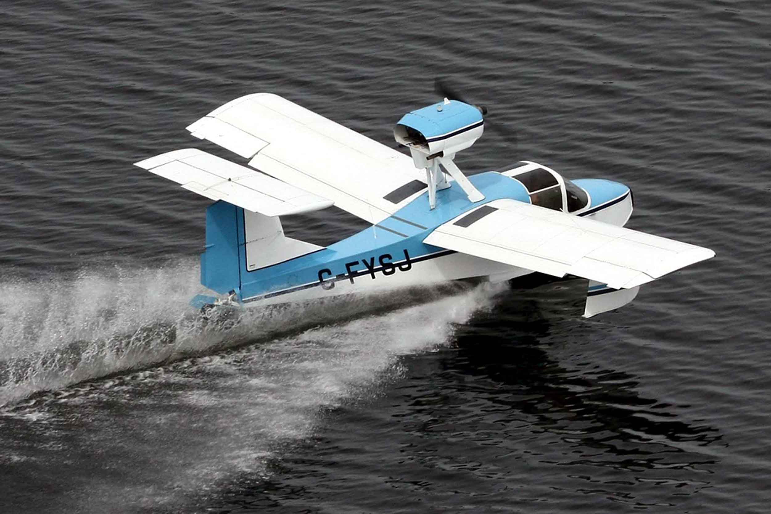 Seafire is closely related to the Thurston Teal amphibian