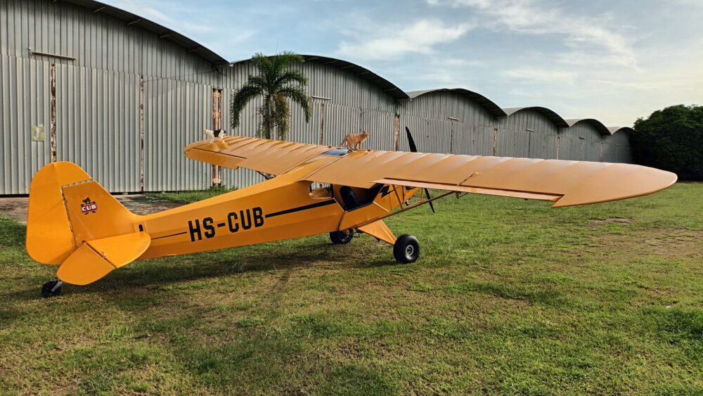 Cub