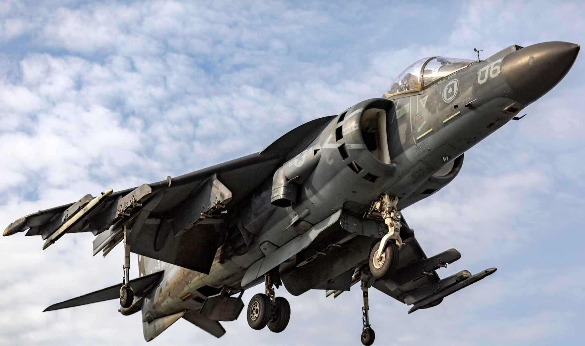 Harrier